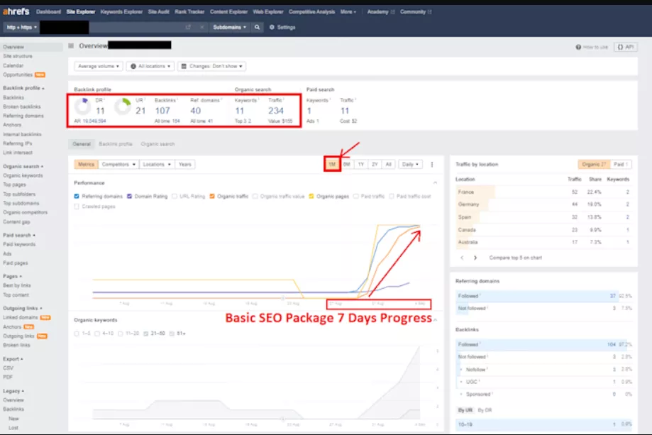 Monthly SEO + Domain Rating