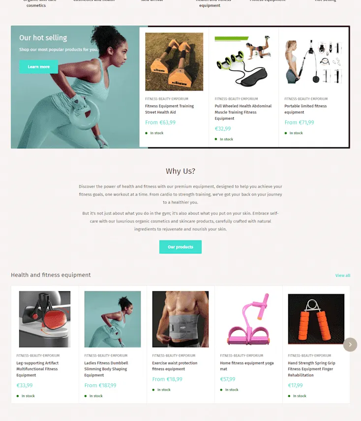 Shopify Store Design Development