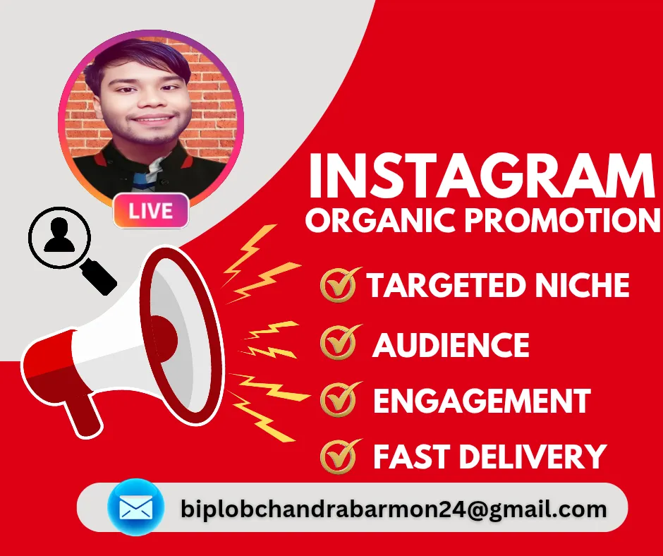 Instagram Organic Promotion 